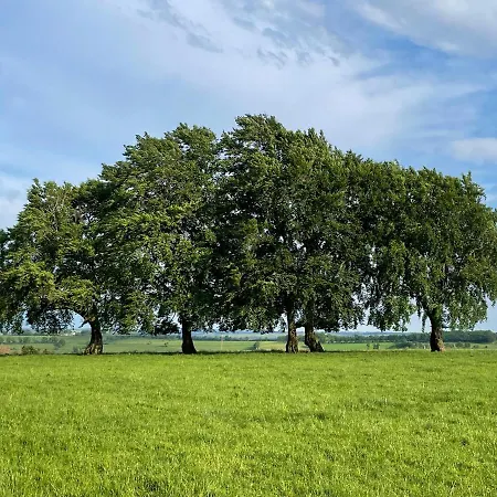 Tatil Evi Eifelherz *