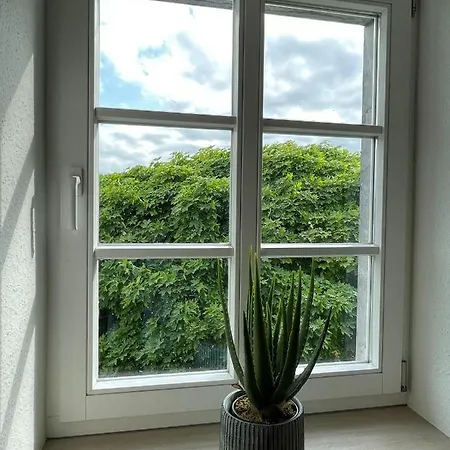 Holiday home Eifelherz *