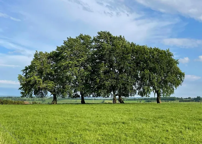 度假居 Eifelherz *