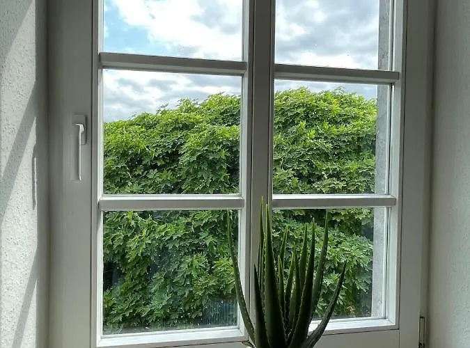 度假居 Eifelherz *